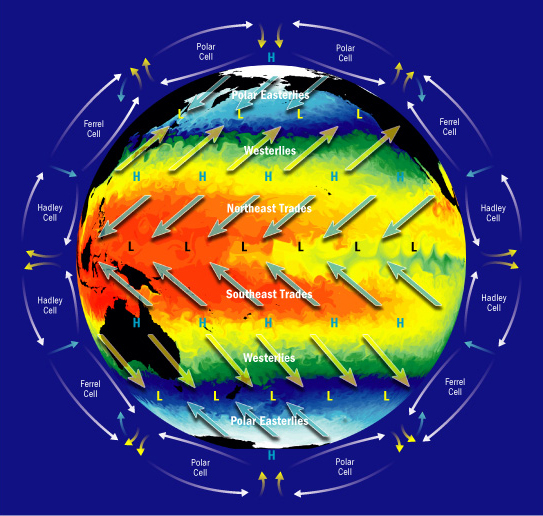 Large-scale Circulations in the Earth's Atmosphere