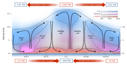 Diagram of general circulation along meridional cross-section.